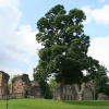 Priory Ruins