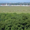 Annual Hoppings on the Town Moor