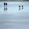 Rhossili Bay