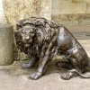 This is what Longleat is most famous for. The Lions.