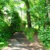 Hurst Green