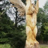 ' Pegasus '