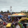 Pleasure Island.