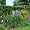 Pretty gardens