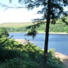 Trees overlooking Howden  Reservoir.