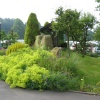 Cheddleton nature