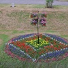 Flowers by the Castle