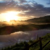 Morning light