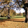 Autumn at Belton Park