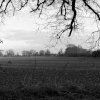 Stopsley area