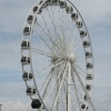 The wheel