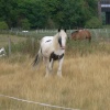 Bedfordshire