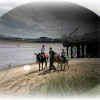 Fleetwood donkeys