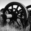 Old Wagon Wheels