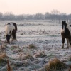 Frosty morning at Great Yarmouth