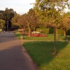 Valentines Park