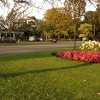 Valentines Park Flowers