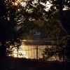 Evening light. Valentines Park.