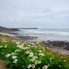 Freshwater West beach near Castlemartin