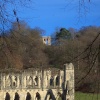 Overlooking the Abbey