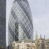 The egg