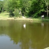 The lake at Hestercombe