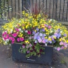 Flowers outside Elswick Cemetery