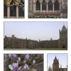 Spring in Charterhouse