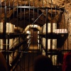 Wookey Hole
