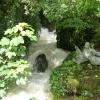 Wookey Hole