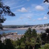 The Mount