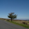 Exmoor, Somerset
