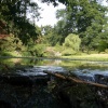 Minterne Gardens