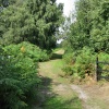 One of the walks in the Nature Reserve.