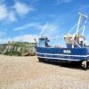 Hastings