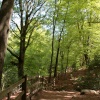 Glen Howe park