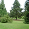 Bicton Park