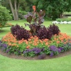 Bicton Park