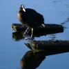 Lavell's Lake