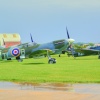 Spitfire