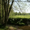Loughton Linear Park in springtime