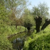 Loughton Linear Park in springtime