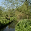 Loughton Linear Park in springtime