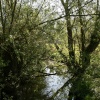 Loughton Linear Park in springtime