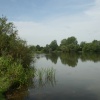 Emberton Country Park