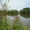 Emberton Country Park