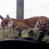 Time for a snooze.