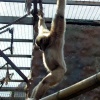 Just hanging around.