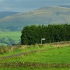 Longridge