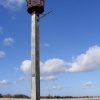 The Beacon